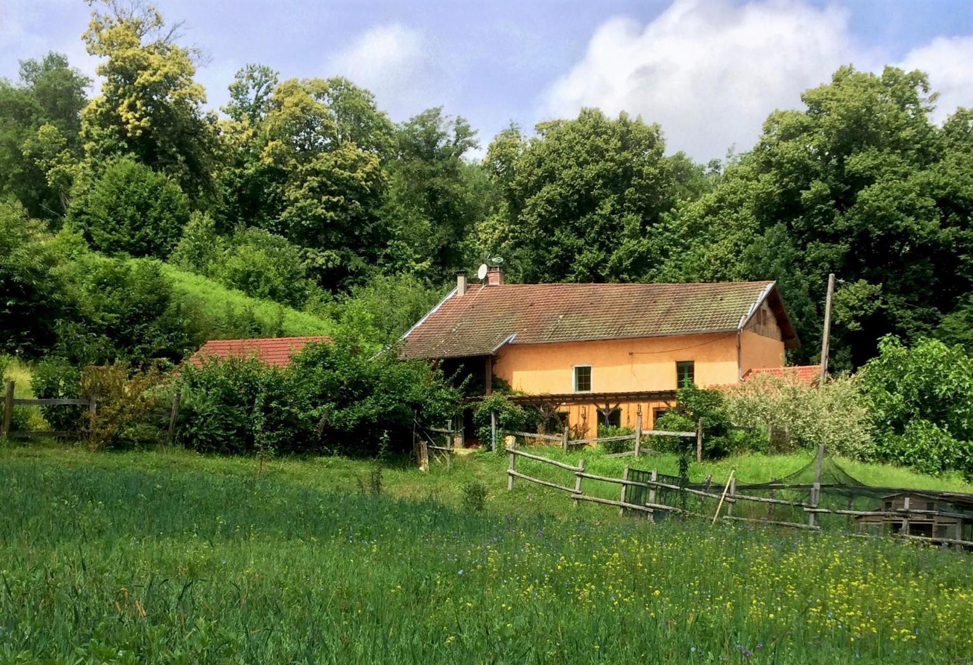 Le Mas De Planaise Saint-Jean-d'Avelanne Exterior photo